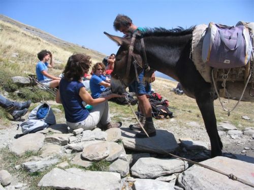 trekking con i muli-249.jpg